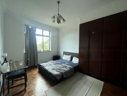 Spring Grove (D10), Condominium #582879301